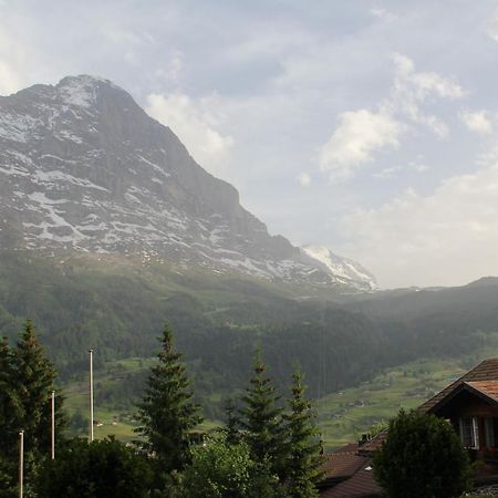 Elements Lodge Grindelwald Exterior foto